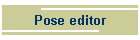 Pose editor