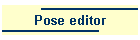 Pose editor