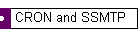 CRON+SSMTP