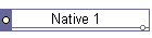 Native 1