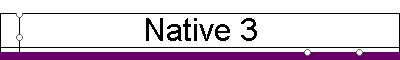 Native 3