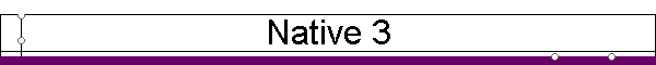 Native 3
