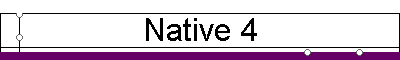 Native 4