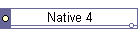 Native 4