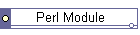 Perl Module