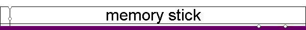 memory stick